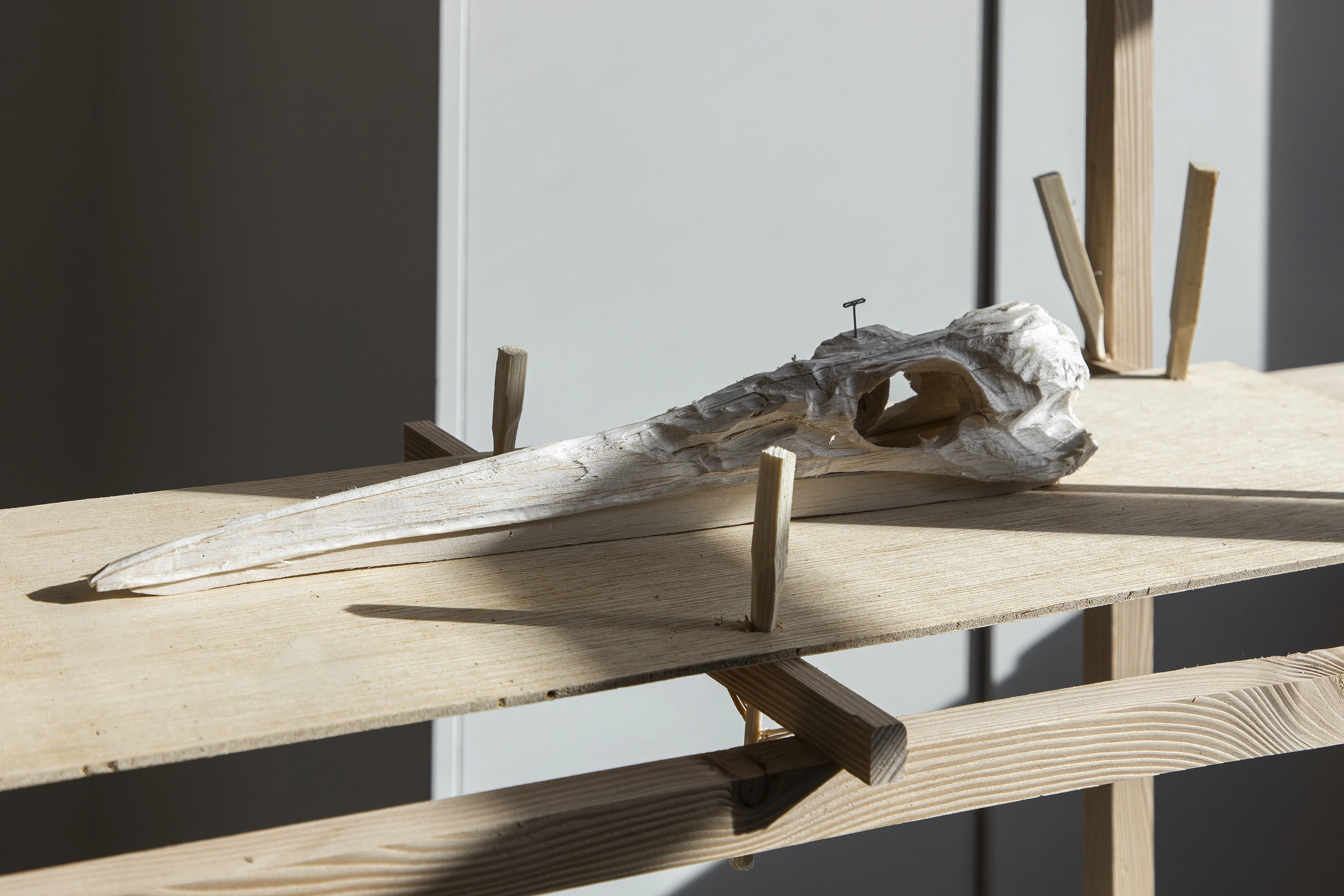 Oded Rimon, Library, Installation, HEAD, Geneva, 2023